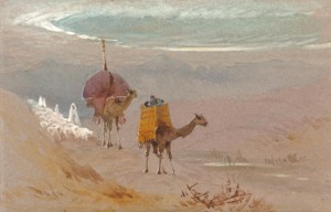 Trotter camels