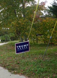 the one presidential race sign at our polling place